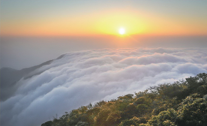 阳山 大稠顶 云海