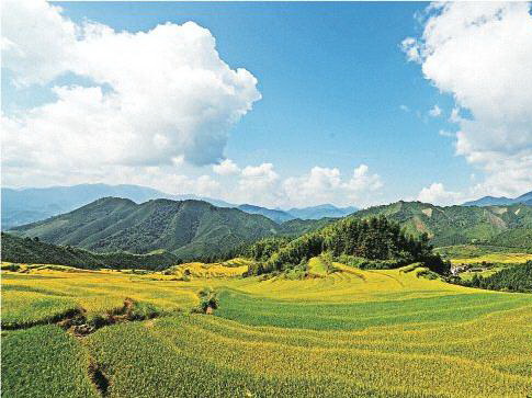 连山欧家梯田